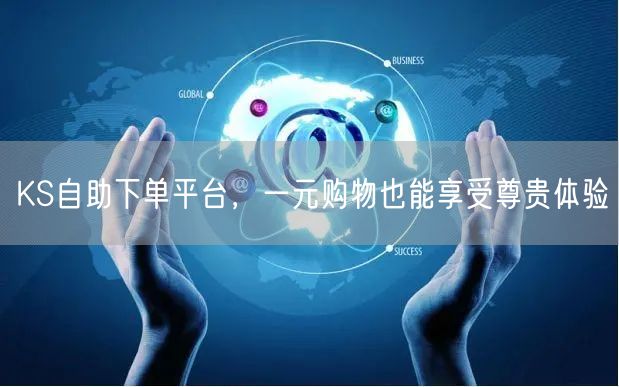 KS自助下单平台，一元购物也能享受尊贵体