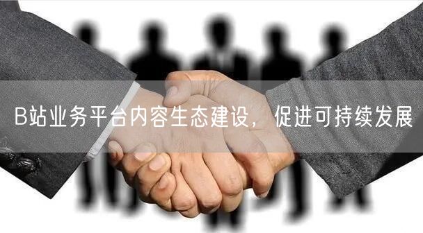 B站业务平台内容生态建设，促进可持续发展