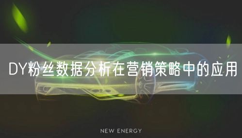 DY粉丝数据分析在营销策略中的应用