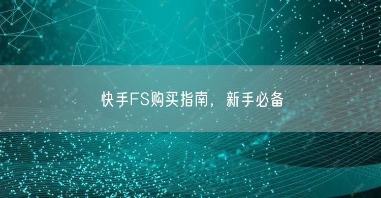 快手FS购买指南，新手必备