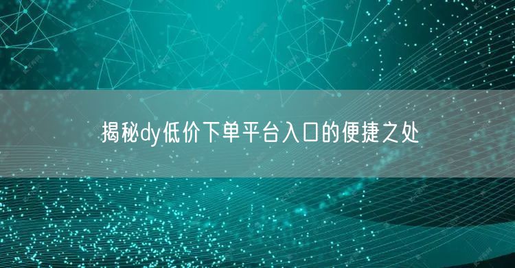 揭秘dy低价下单平台入口的便捷之处