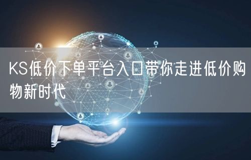 KS低价下单平台入口带你走进低价购物新时