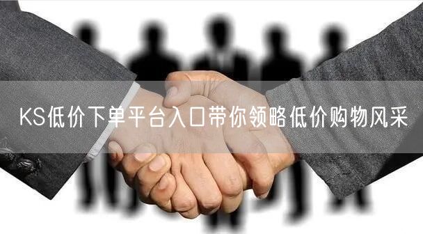 KS低价下单平台入口带你领略低价购物风采