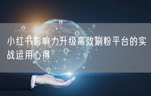 小红书影响力升级高效刷粉平台的实战运用心