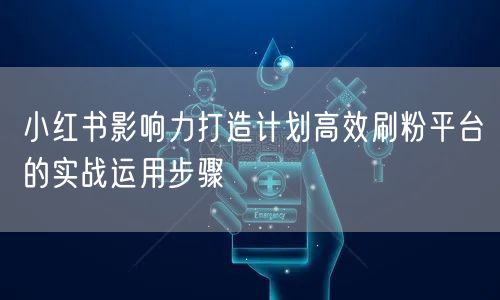 小红书影响力打造计划高效刷粉平台的实战运