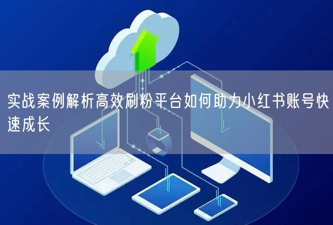 实战案例解析高效刷粉平台如何助力小红书账