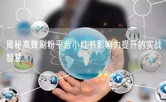 揭秘高效刷粉平台小红书影响力提升的实战智