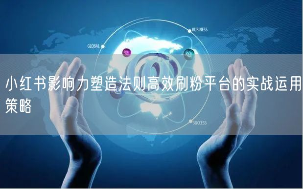小红书影响力塑造法则高效刷粉平台的实战运