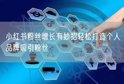 小红书粉丝增长有妙招轻松打造个人品牌吸引