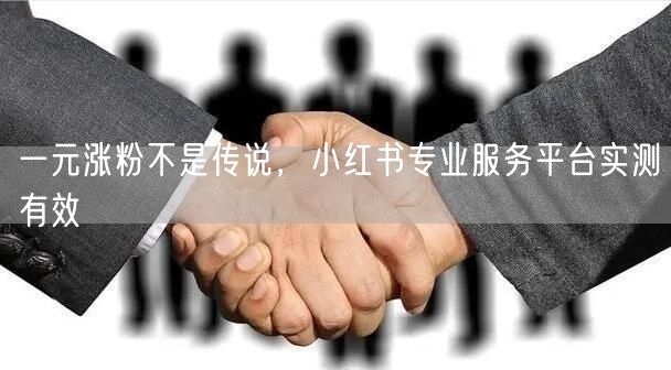 一元涨粉不是传说，小红书专业服务平台实测