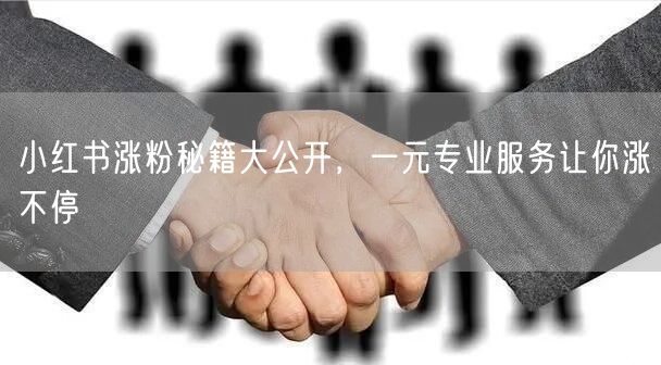 小红书涨粉秘籍大公开，一元专业服务让你涨