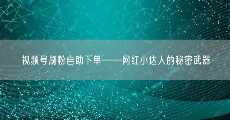 视频号刷粉自助下单——网红小达人的秘密武