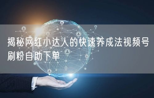 揭秘网红小达人的快速养成法视频号刷粉自助