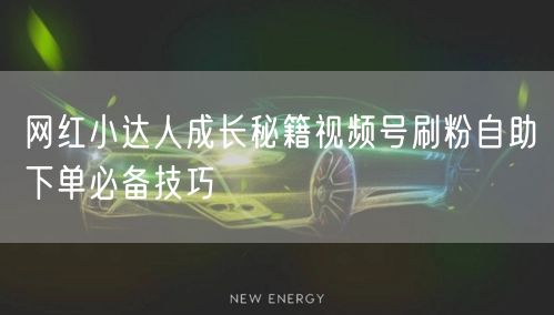 网红小达人成长秘籍视频号刷粉自助下单必备