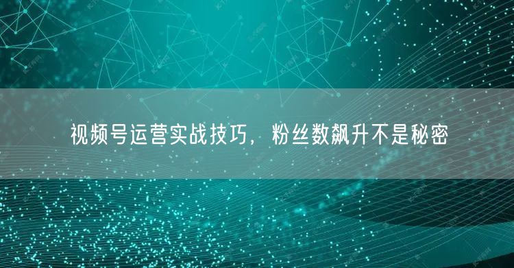 视频号运营实战技巧，粉丝数飙升不是秘密