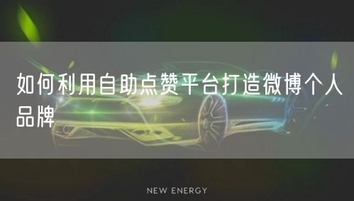 如何利用自助点赞平台打造微博个人品牌