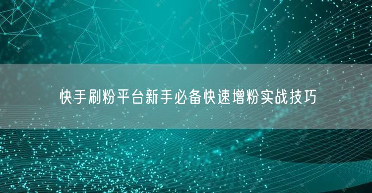 快手刷粉平台新手必备快速增粉实战技巧