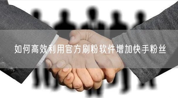如何高效利用官方刷粉软件增加快手粉丝