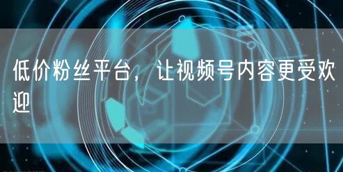 低价粉丝平台,让视频号内容更受欢迎