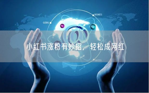 小红书涨粉有妙招,轻松成网红