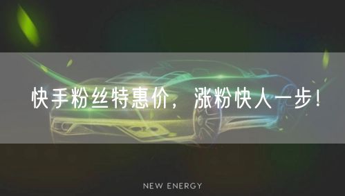 快手粉丝特惠价，涨粉快人一步！