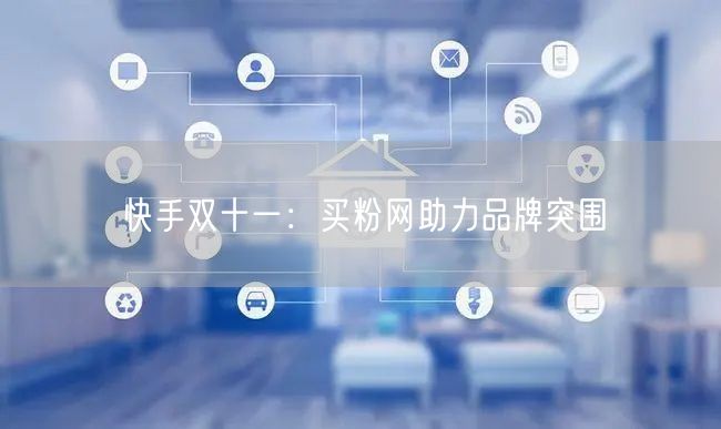 快手双十一：买粉网助力品牌突围