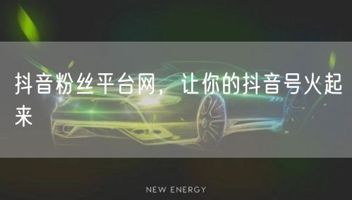 抖音粉丝平台网，让你的抖音号火起来