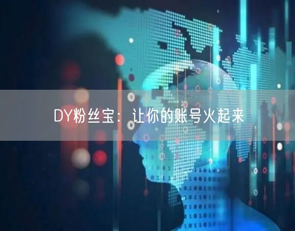 DY粉丝宝：让你的账号火起来