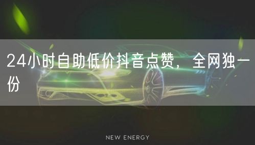 24小时自助低价抖音点赞，全网独一份